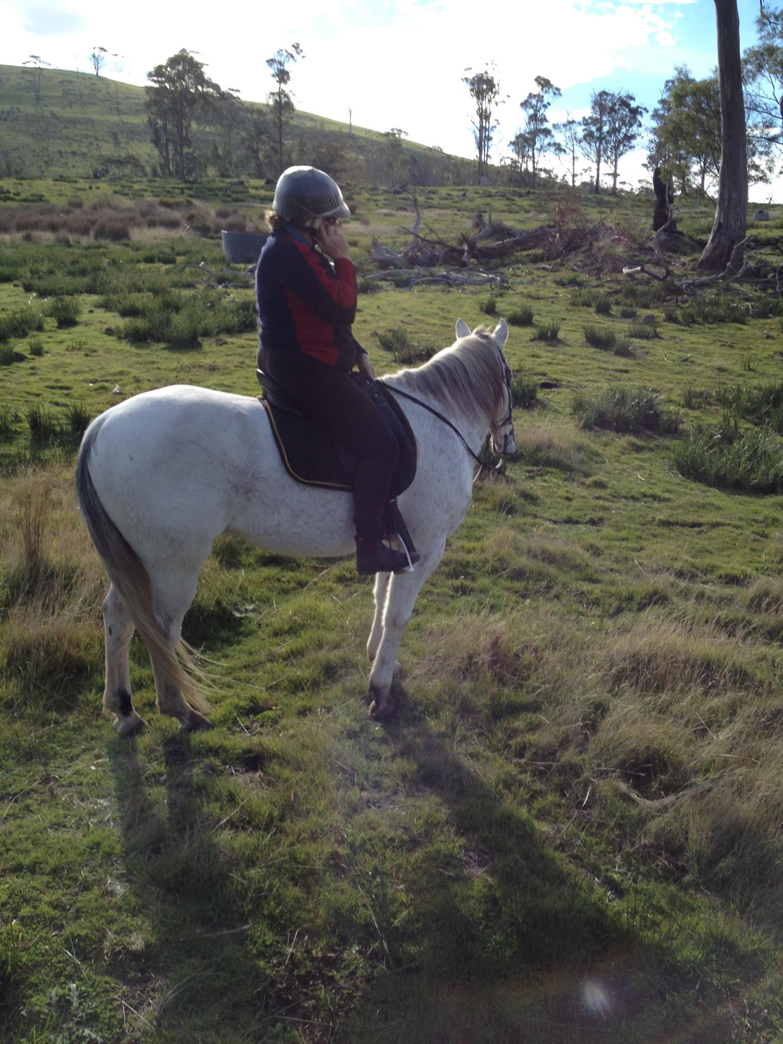 Your business is important to us 24/7